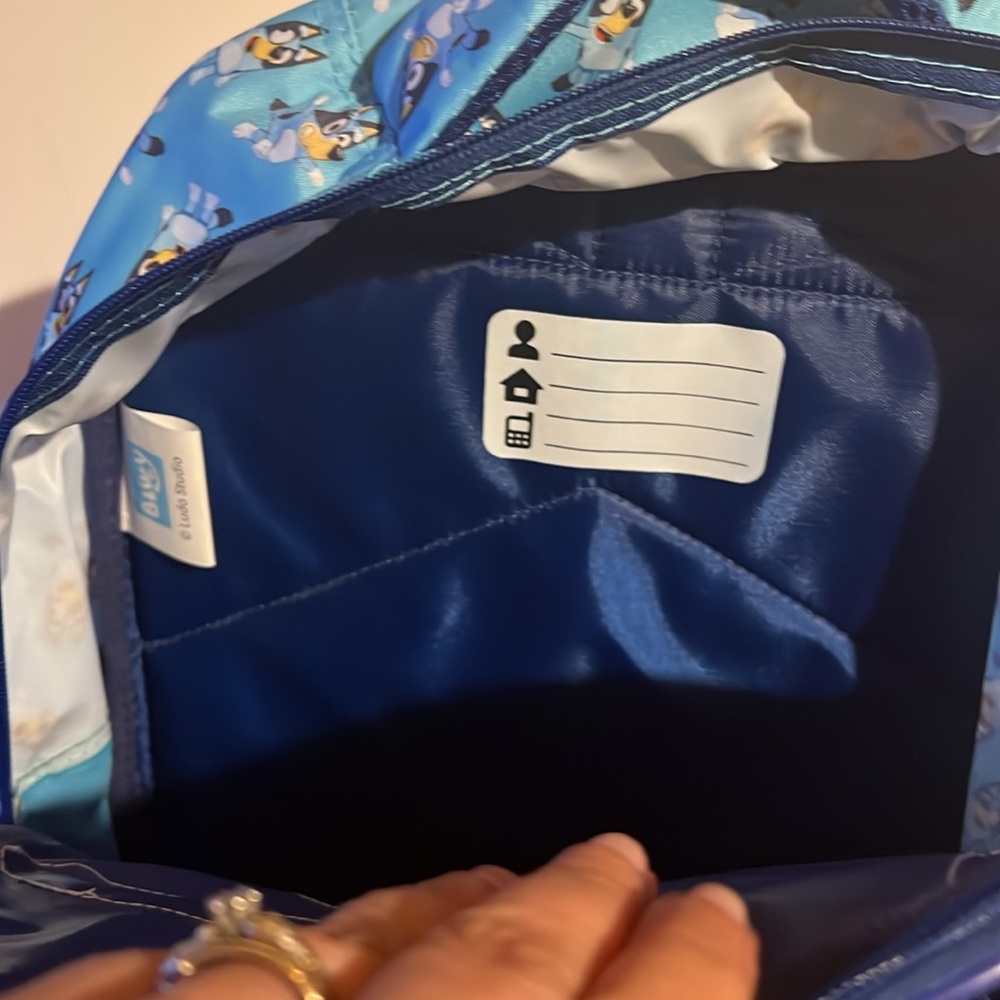 Bluey backpack NWT - Picture 5 of 8